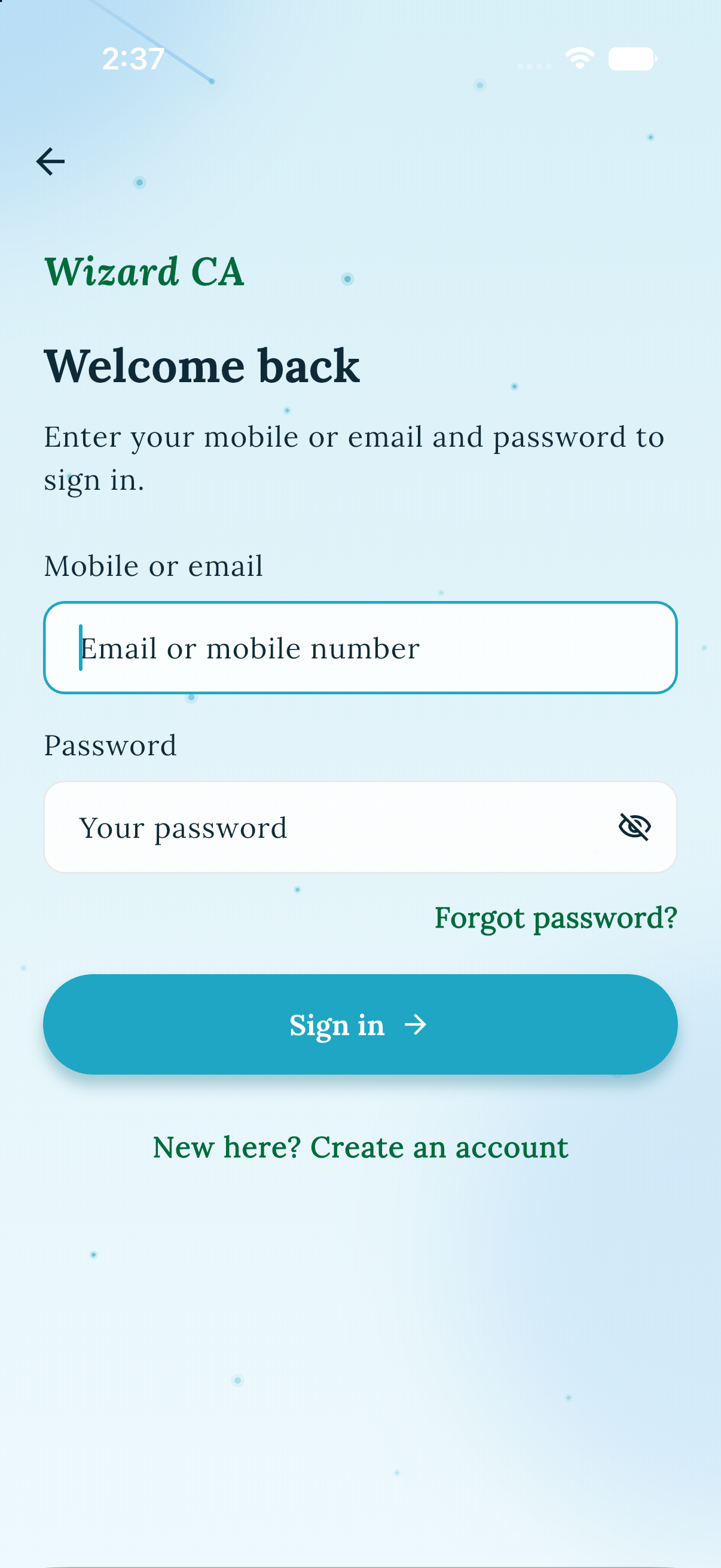 Wizard CA sign in screen